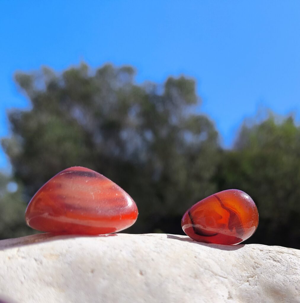 Cornalina pulida en tonos rojo y naranja fotografiada al sol sobre roca clara, con fondo natural; cristal energético del Set para Acuario asociado a vitalidad, motivación y fuerza creativa.
