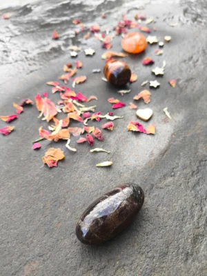 Set para la Fertilidad y la Salud Reproductiva